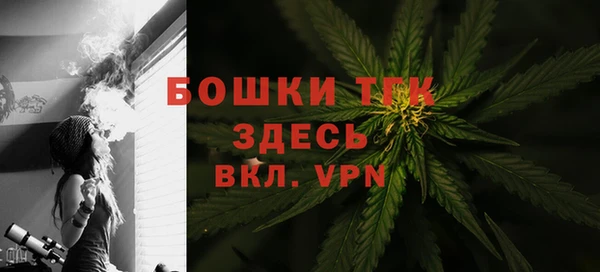 mdpv Богородицк