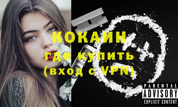 мет Бородино