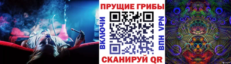 наркота  Шиханы  Галлюциногенные грибы Psilocybine cubensis 